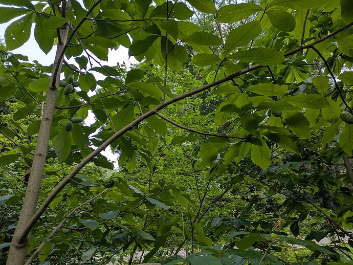 PXL_20250626_184640274
