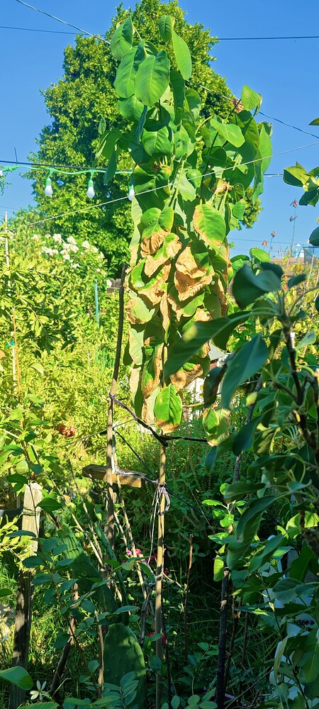 IMG_20251004_1431571