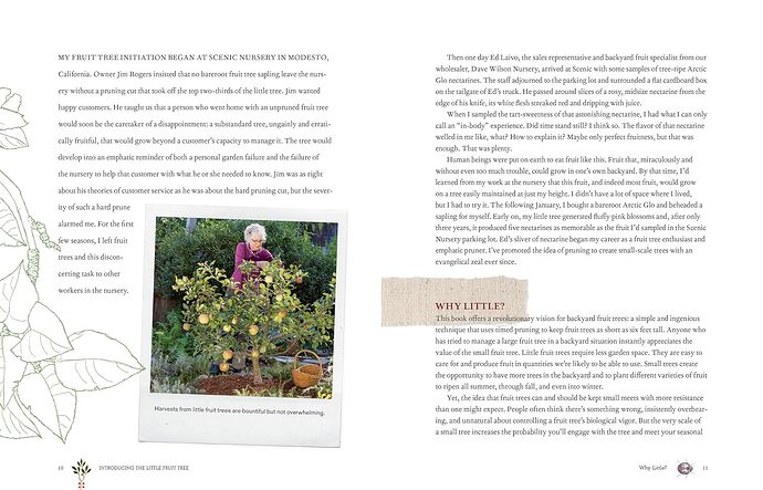 grow a little fruit tree book (2)