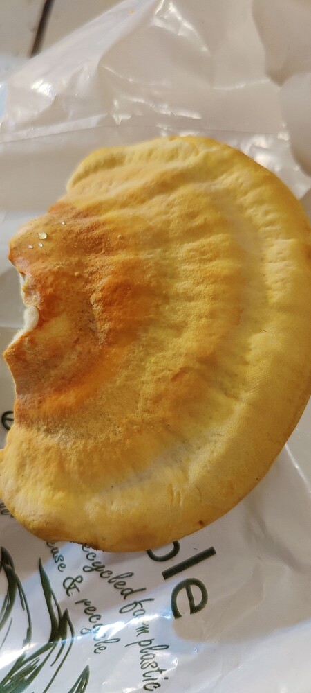 IMG_20251026_1837041