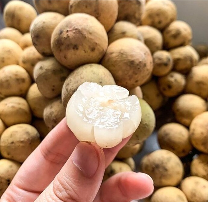 Screenshot_20251216_202530_Facebook