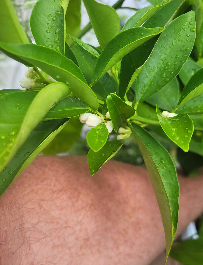 20260717_165514
