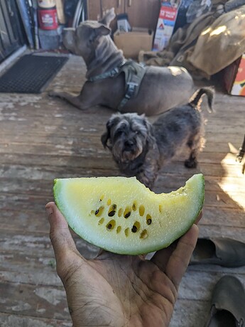 QVZnSEVzdmFfRzIzSm5PamM3aGJra3NM