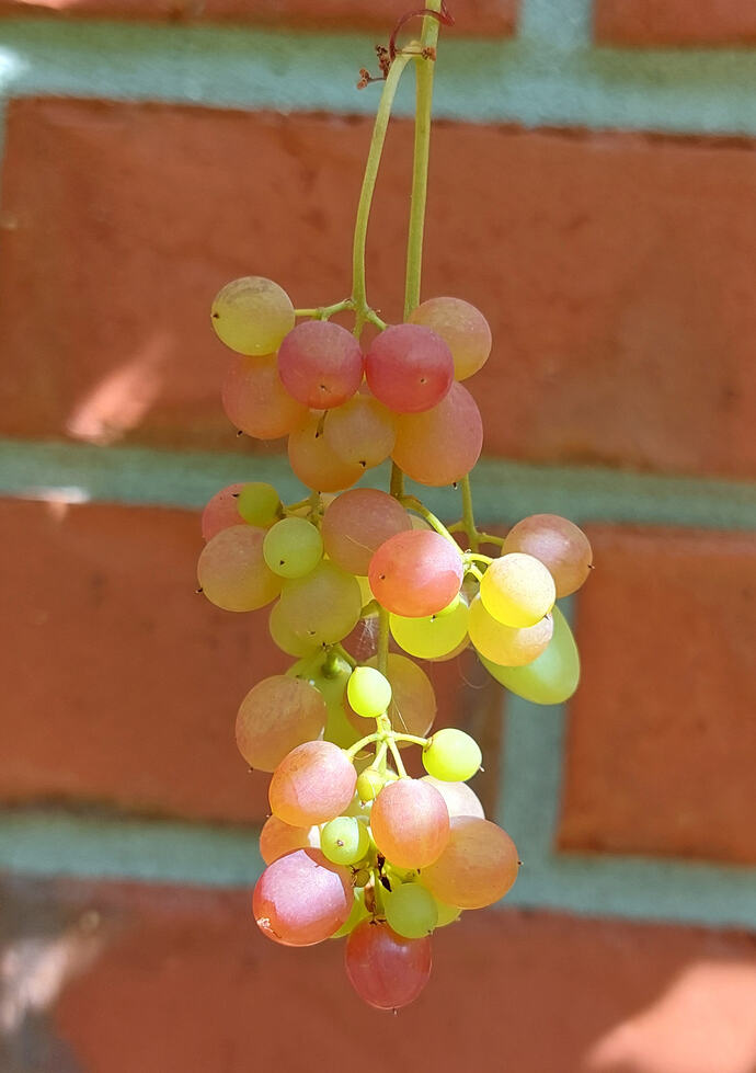 20260907_102442
