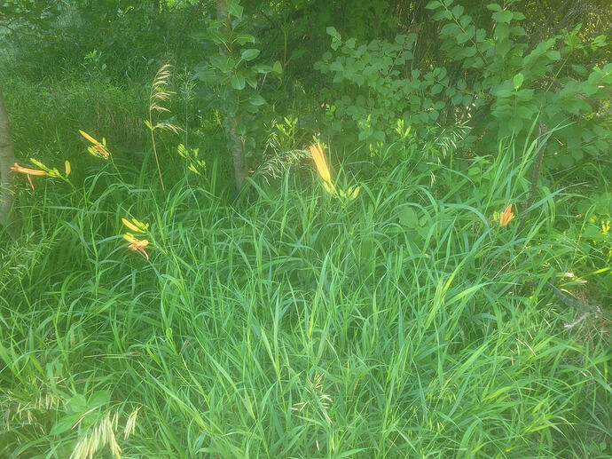20260606_073053