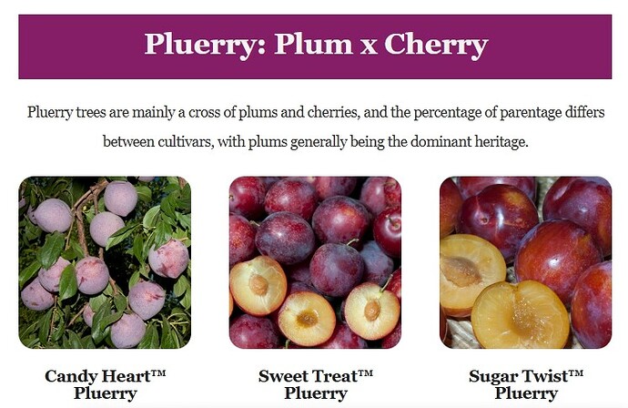 Screenshot 01-06-2026 19.45.47