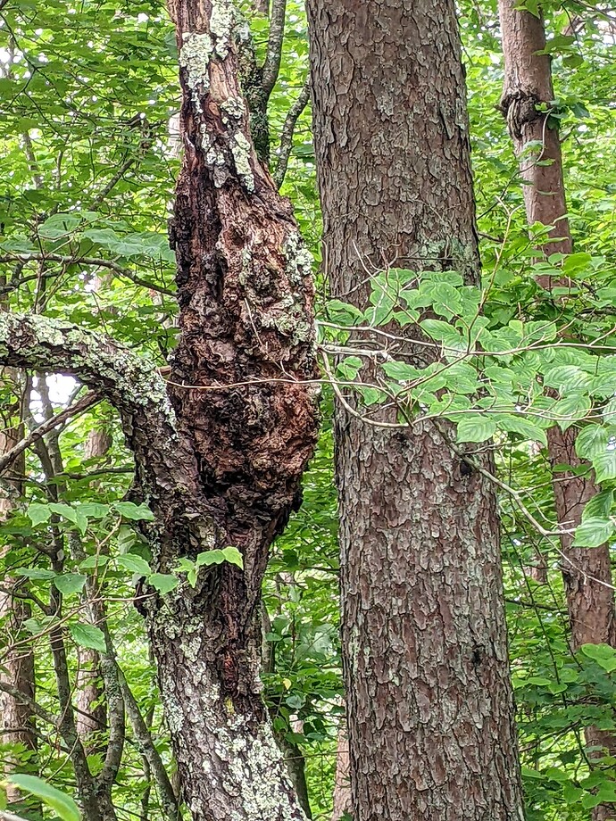 PXL_20250621_134555702