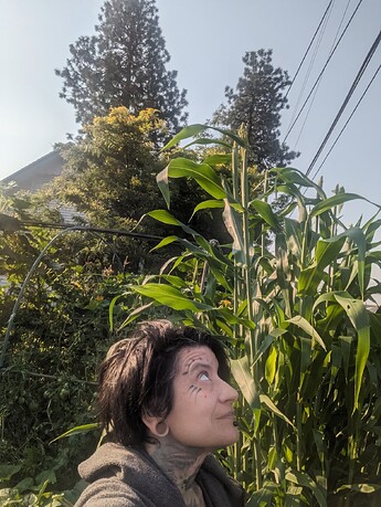 QVZpaTVSUTcwS05CMFZLMHBUR001empy