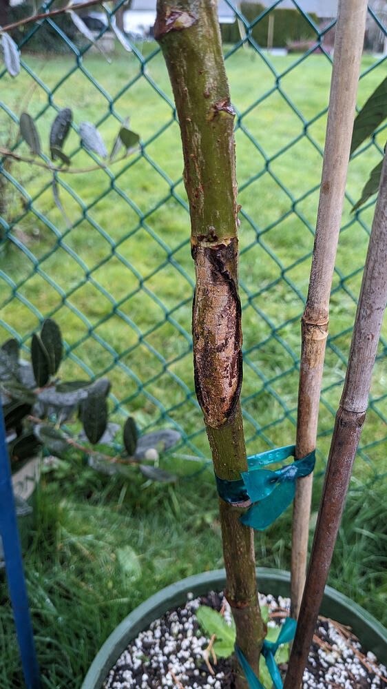 PXL_20260306_235722605