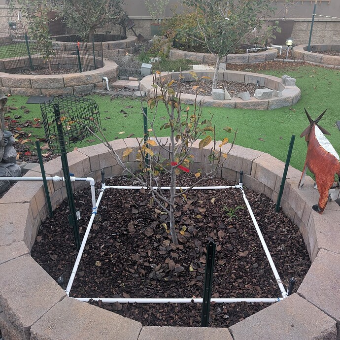 PXL_20251216_004338124