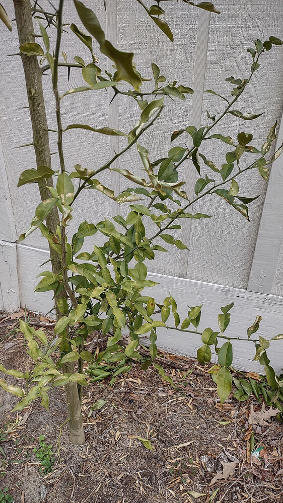 IMG_20260211_133744058_HDR