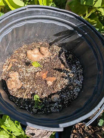 PXL_20250724_220527069