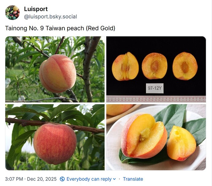 WhatsApp Image 2025-12-20 at 15.11.13