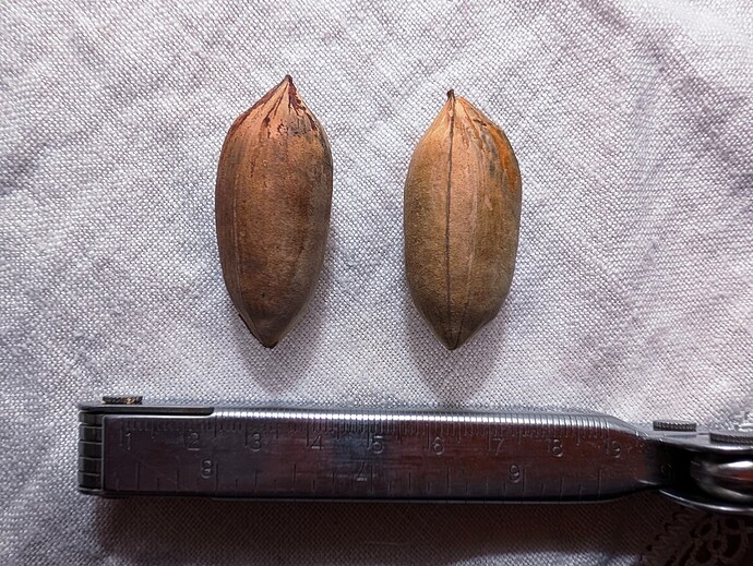 PXL_20251009_020818187_1