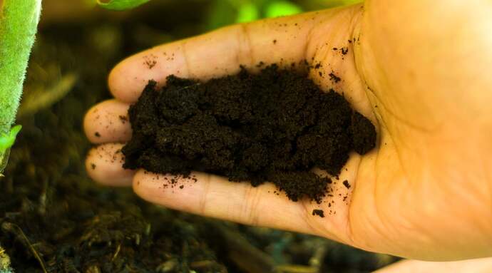 A hand presents dark, organic soil, rich in nutrients and teeming with life. The earthy texture hints at its fertility, promising a thriving environment for plant growth.