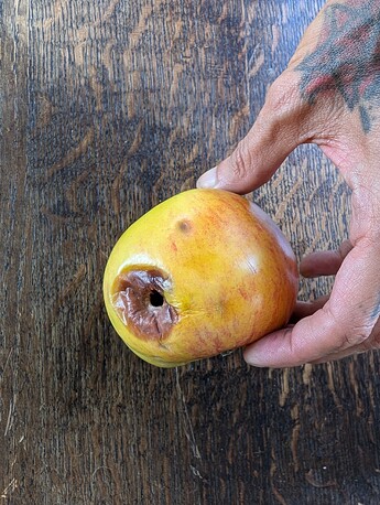 PXL_20250825_203552043