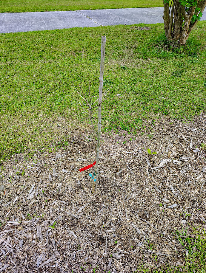 IMG_20260516_082652173_HDR_AE
