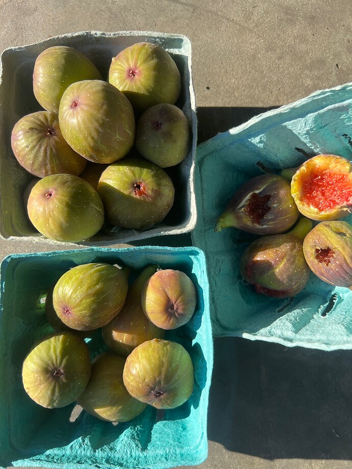 LDA_close_ph_09-02-2025