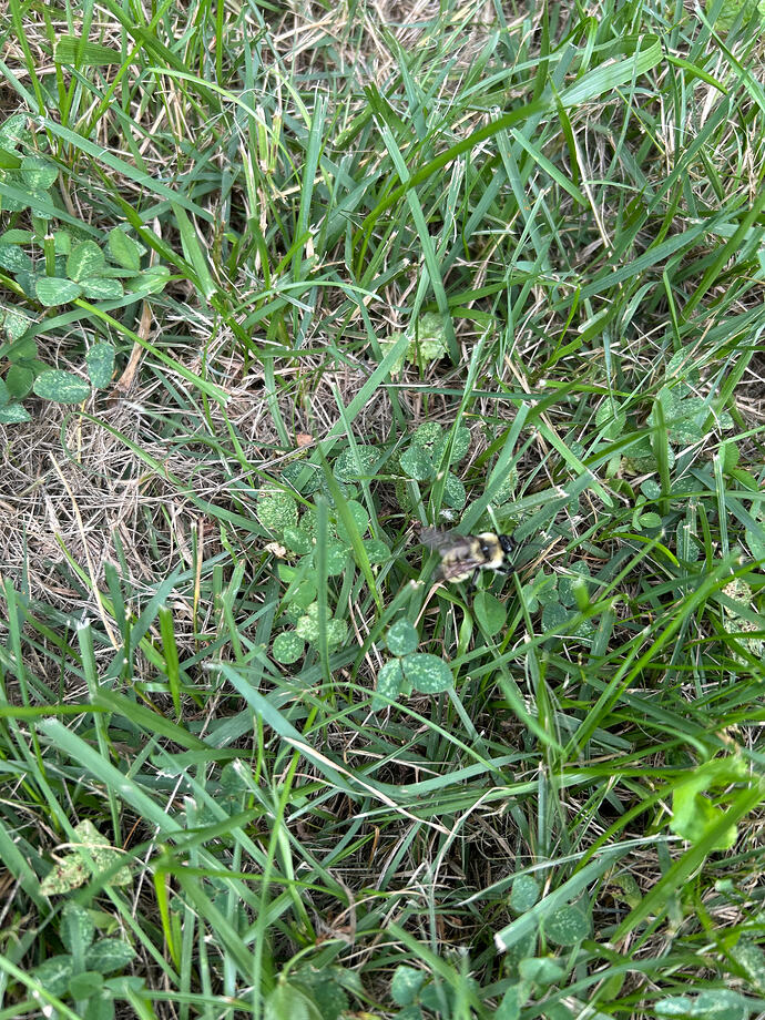 IMG_6404