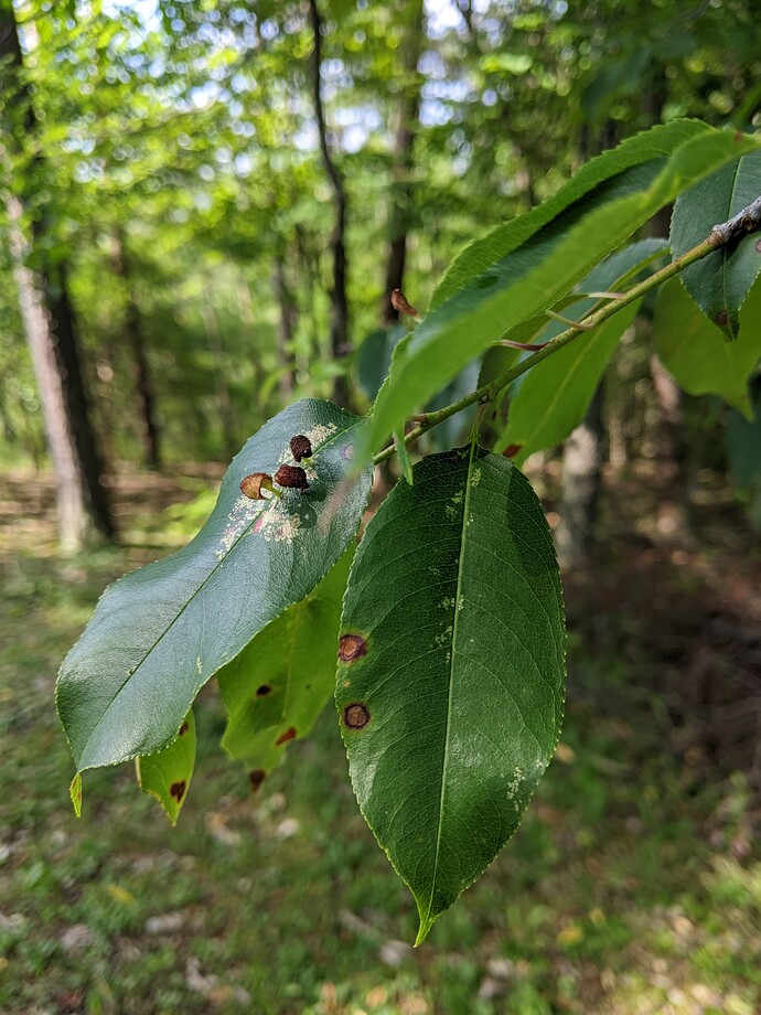 PXL_20250621_133726878