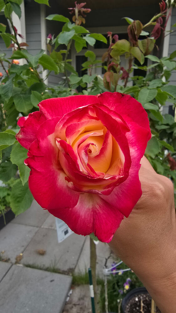 20250601_195019