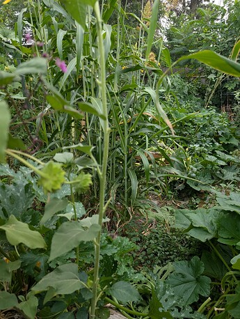 PXL_20250828_222710104