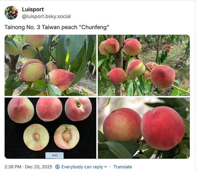 WhatsApp Image 2025-12-20 at 14.40.16