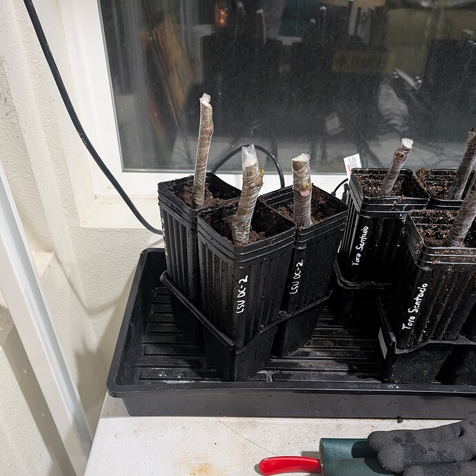 PXL_20260107_030054240