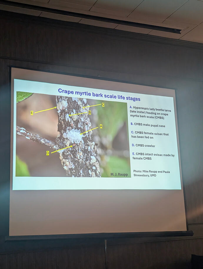 PXL_20260209_142133167