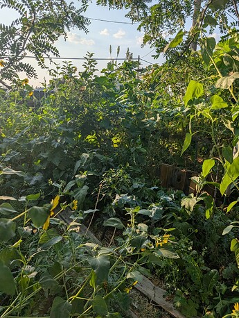 PXL_20250908_003739696