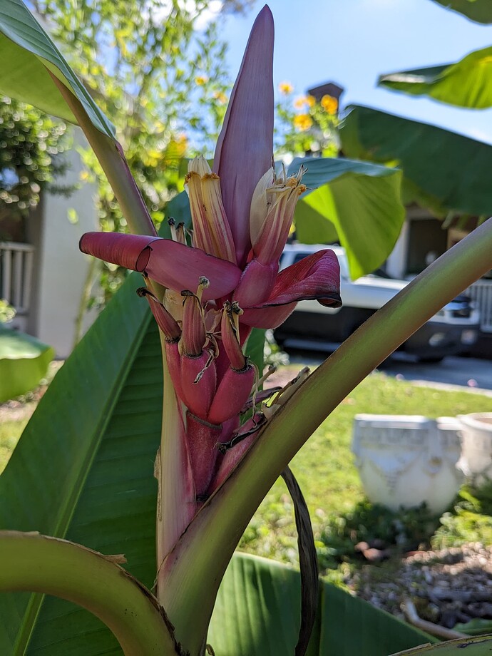 PXL_20251101_123659174.MP