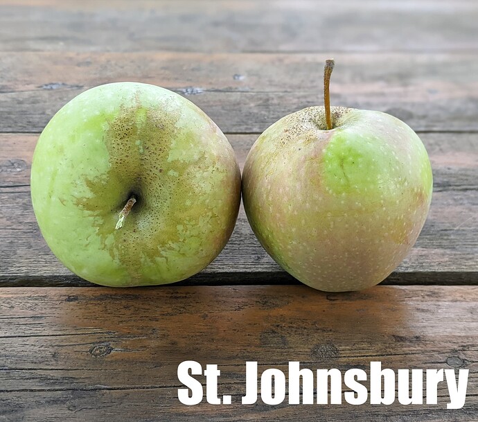 St. Johnsbury_2025