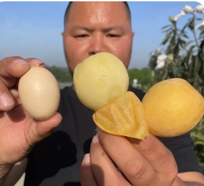 Screenshot_20251125_145658_Messenger