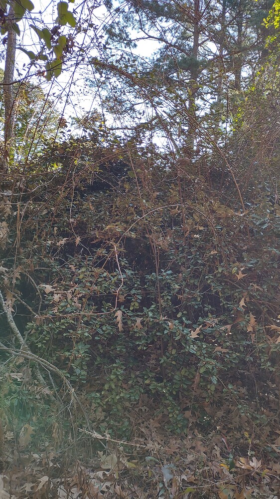 IMG_20251221_093154689_HDR