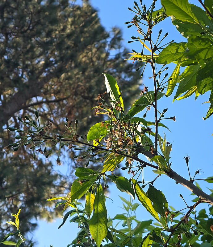 20260409_080820 (2026-04-09T19_08_57.040)