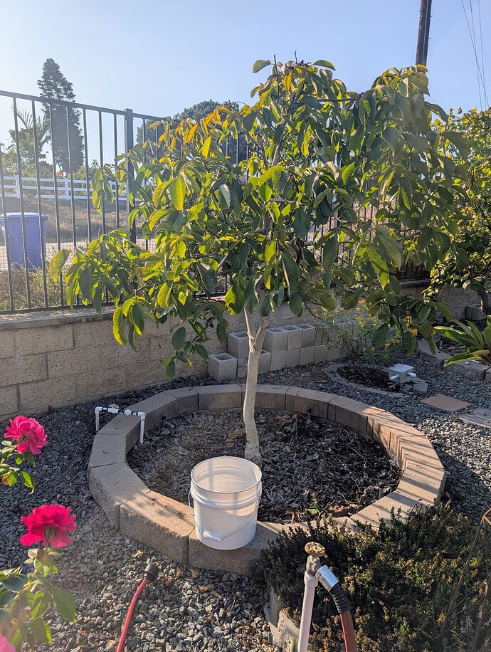 PXL_20250930_233737732~2