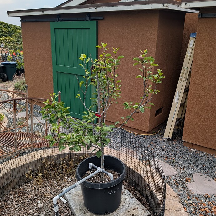 PXL_20250623_193833593