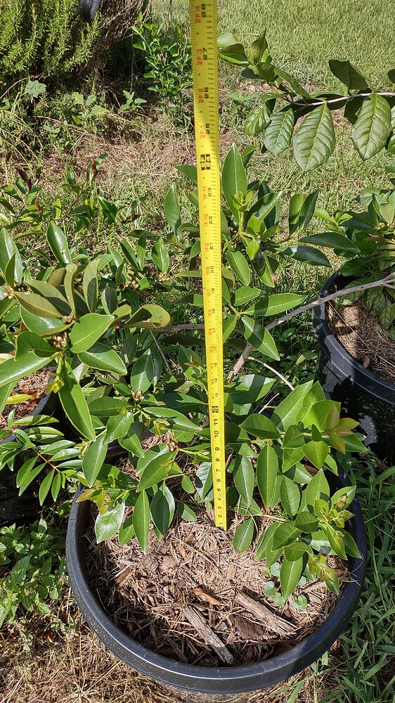 IMG_20250707_094300780_HDR