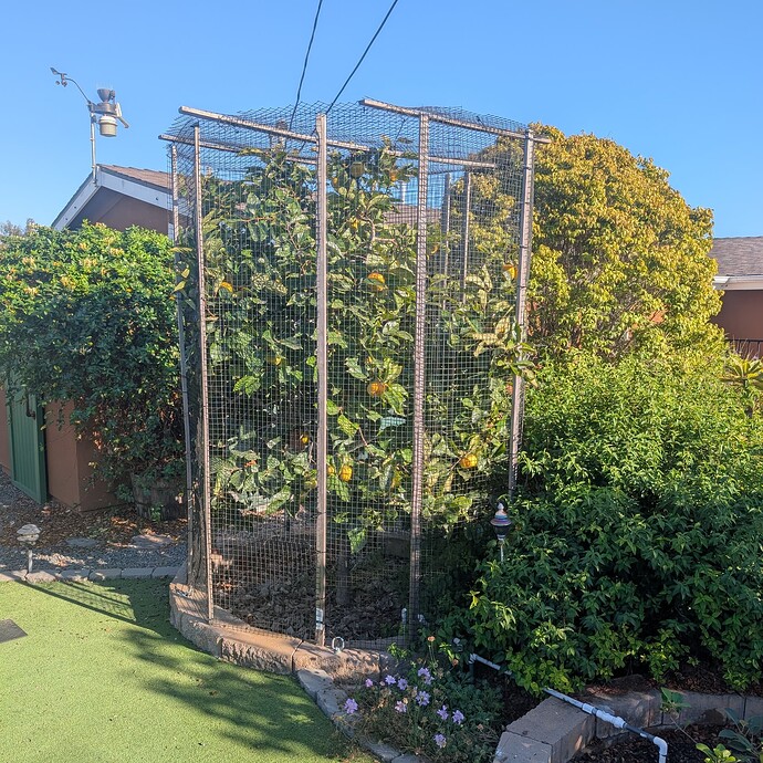 PXL_20251011_231732743