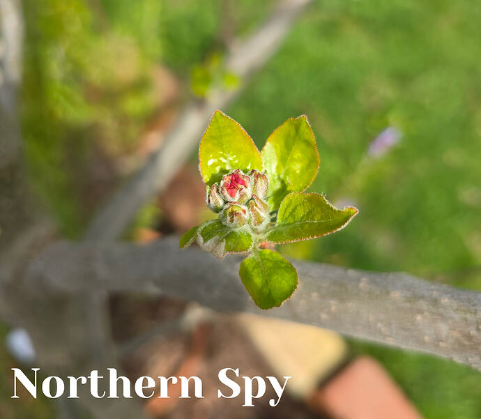 20260331_134042 (2026-03-31T20_59_51.895)