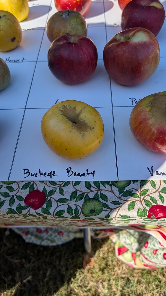 PXL_20251018_193604475