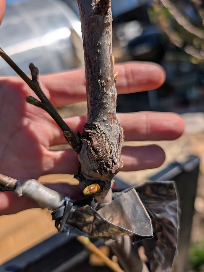 PXL_20260408_210911102