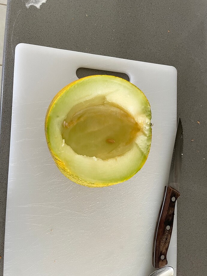 Kazakh honeydew inside