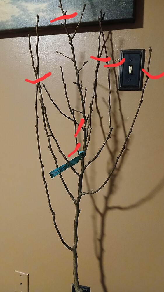 20260313_203041