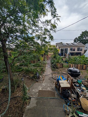 PXL_20250722_211823366