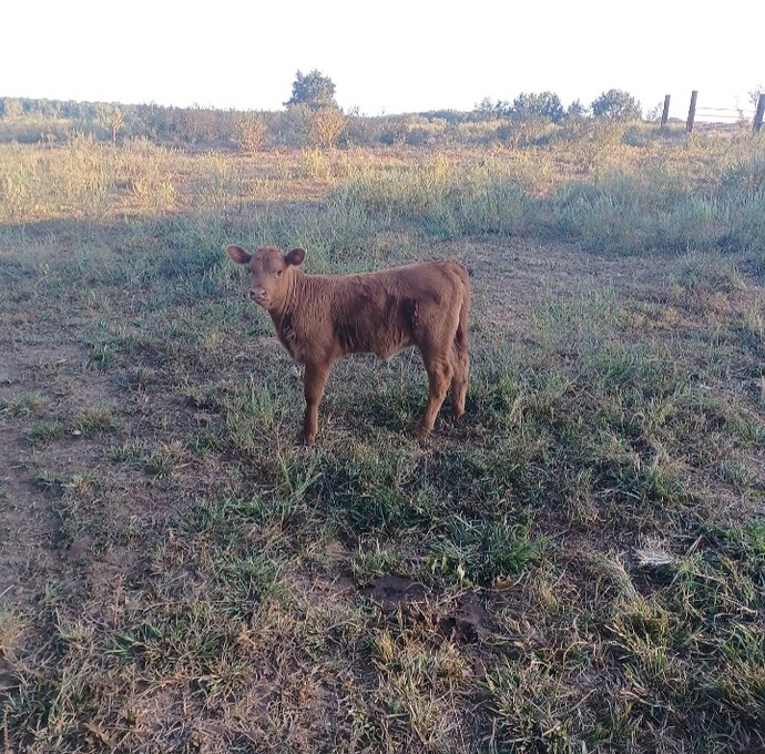 Screenshot_20250906_200237_Gallery