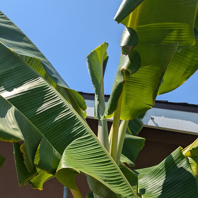 PXL_20250810_213210906