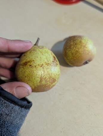 PXL_20251007_184046733