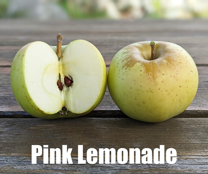 Pink Lemonade_2025
