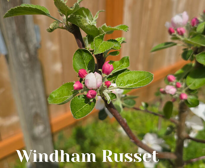 20260410_141221 (2026-04-11T13_54_20.089)